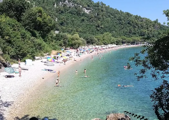 Apartments Turan